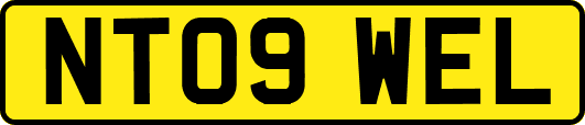 NT09WEL