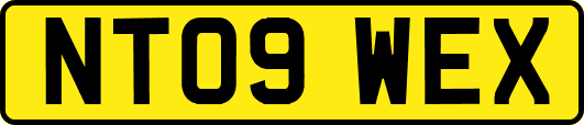 NT09WEX