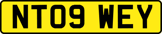 NT09WEY