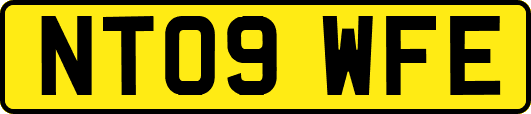 NT09WFE