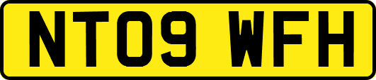 NT09WFH
