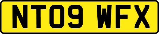 NT09WFX