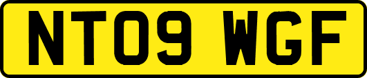 NT09WGF