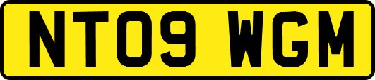 NT09WGM