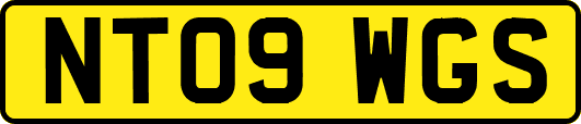 NT09WGS