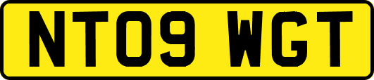 NT09WGT