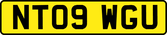 NT09WGU