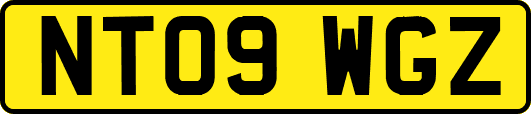 NT09WGZ