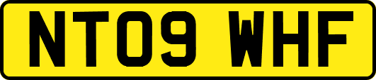 NT09WHF