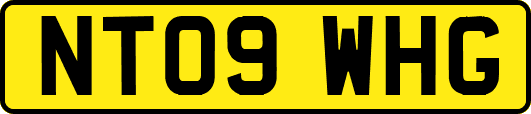 NT09WHG