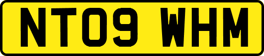 NT09WHM
