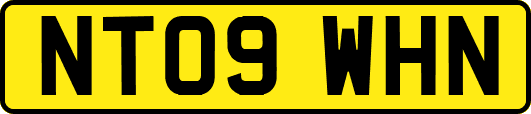 NT09WHN