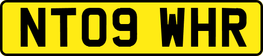 NT09WHR