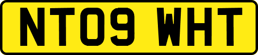 NT09WHT