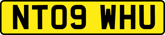 NT09WHU
