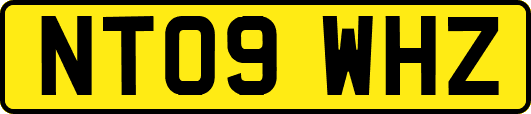 NT09WHZ