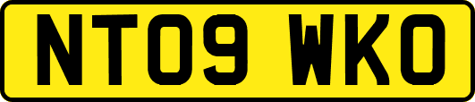 NT09WKO