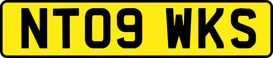 NT09WKS