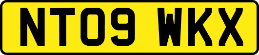 NT09WKX