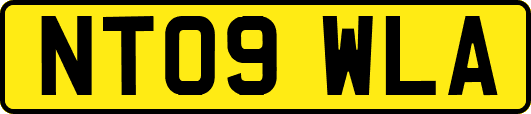 NT09WLA