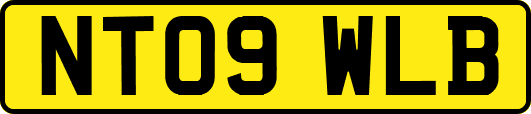 NT09WLB