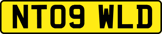 NT09WLD