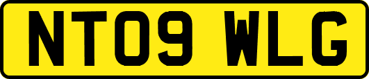 NT09WLG