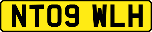 NT09WLH