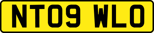 NT09WLO