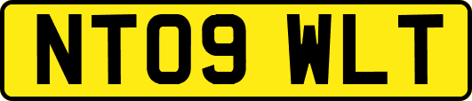 NT09WLT