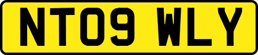 NT09WLY