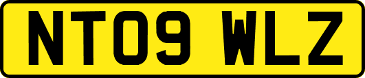 NT09WLZ