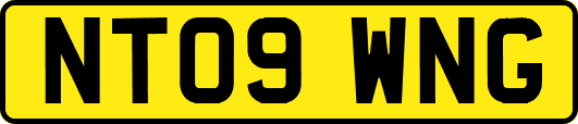 NT09WNG