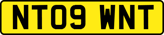 NT09WNT