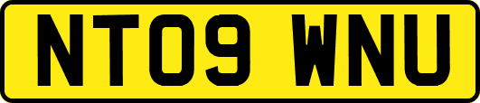NT09WNU