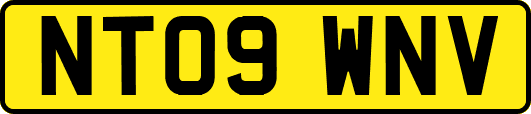 NT09WNV