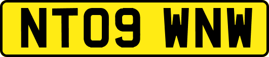 NT09WNW