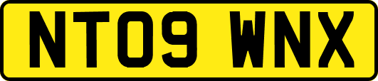 NT09WNX