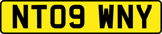 NT09WNY