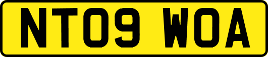 NT09WOA