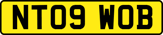 NT09WOB