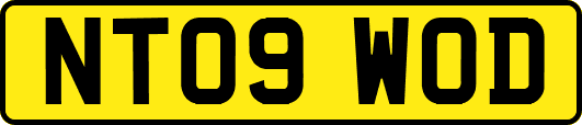 NT09WOD
