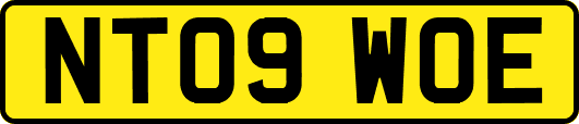 NT09WOE