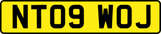 NT09WOJ