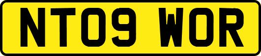 NT09WOR