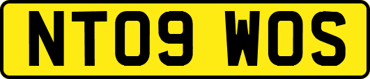 NT09WOS