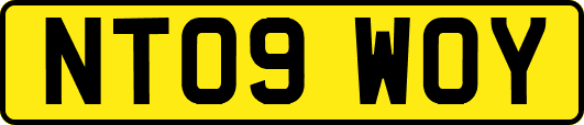 NT09WOY