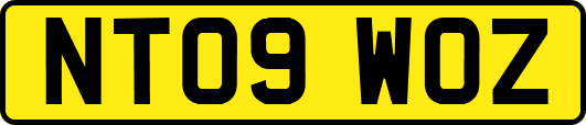 NT09WOZ
