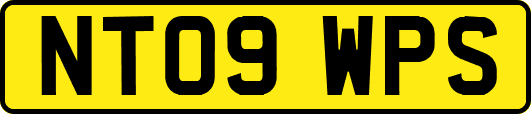 NT09WPS