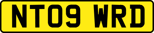 NT09WRD